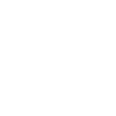 Vision